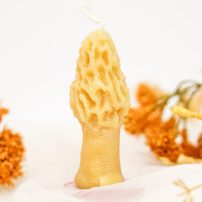 SM MOREL MUSHROOM CANDLE