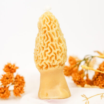 LG MOREL MUSHROOM CANDLE